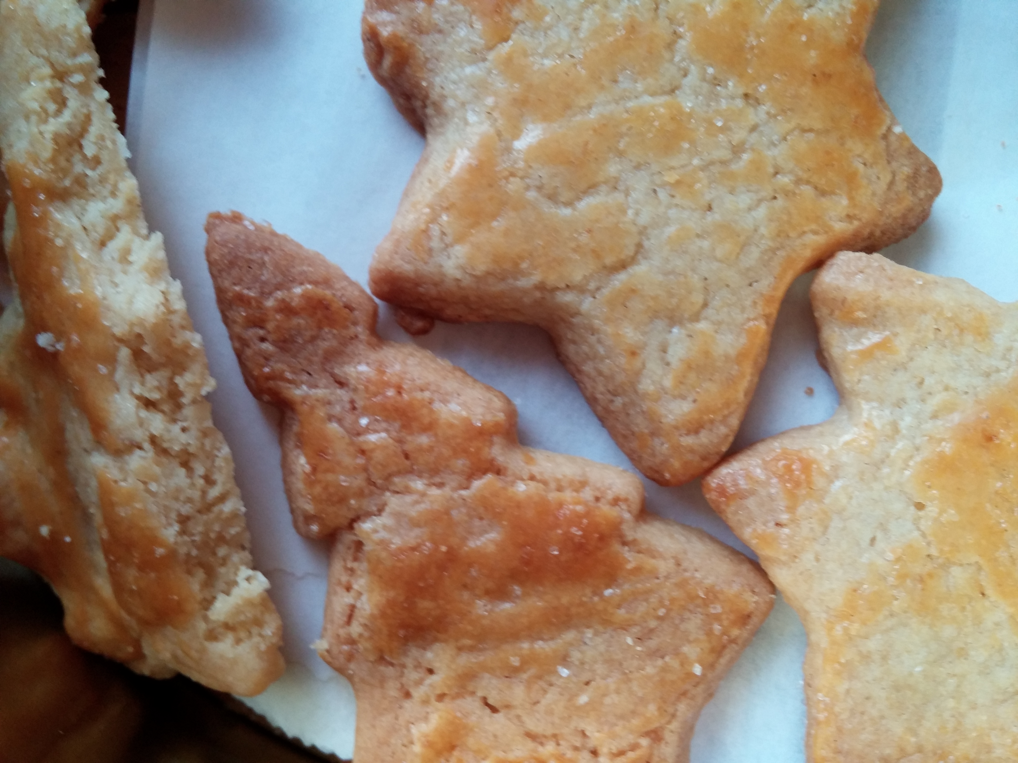 Plätzchen aus Mürbeteig (schnell und einfach) – Bild 2