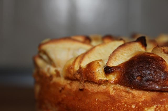 Apfel- / Käsekuchen 17cm Springform